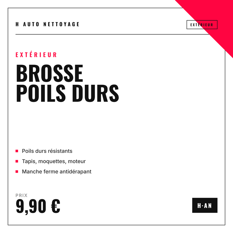 Brosse à poils durs – décrasse tapis, moquettes & moteur